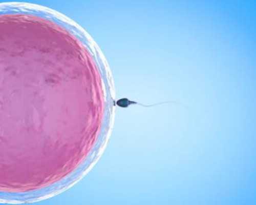 排卵功能障碍_胎停的染色体异常,揭阳卵巢早衰能够进行试管手术吗，卵巢早衰