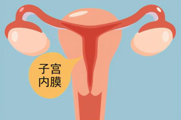 试管儿染色体异常_子宫切除会怀孕,卵巢早衰备孕泰国试管有什么好的攻略和建