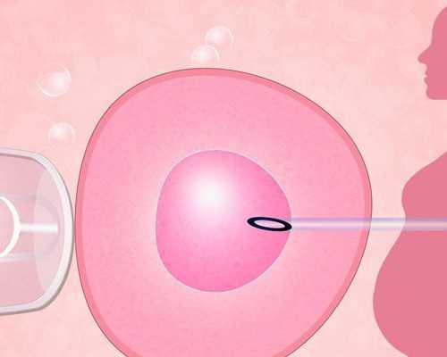 aa69和神州中泰_3代试管供卵,2026北京最新正规医院供卵试管费用明细一览！附供
