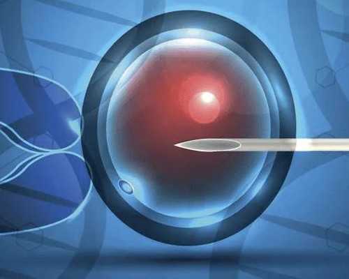 <b>精子库是联网的吗</b>