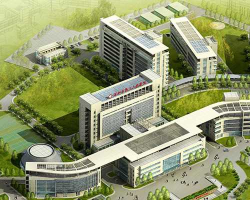 上海代生中心怎样,关于上海子宫肌瘤不能吃什么的信息