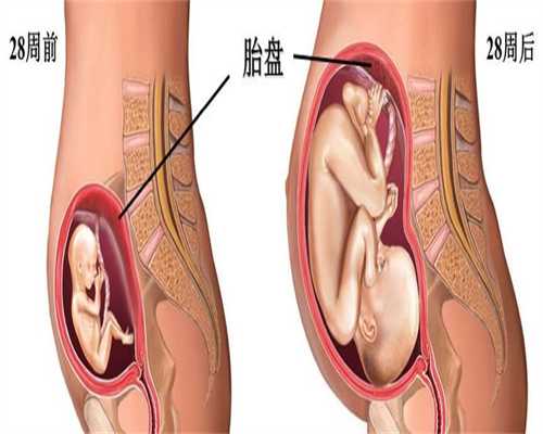 代孕几周能测出胎心，代孕几周可以检查胎心