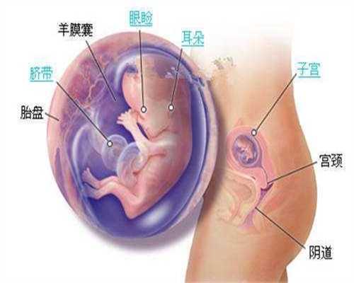 为什么试管婴儿也有生化妊娠？