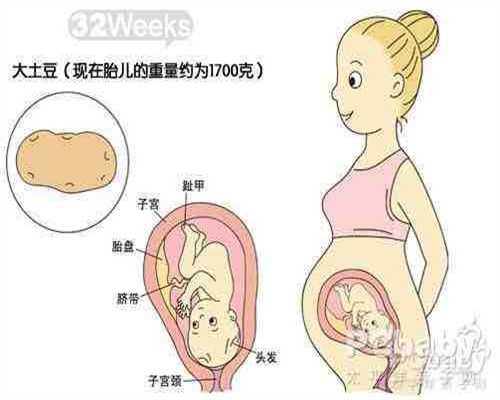 孕妇不能吃什么水果 这5种水果孕妇需忌口