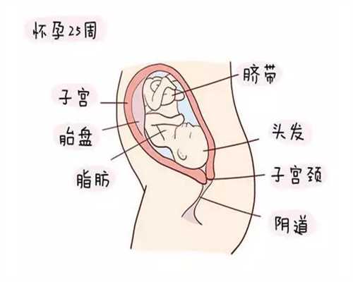 代孕性生活，需要带“套”吗_上海添禧助孕