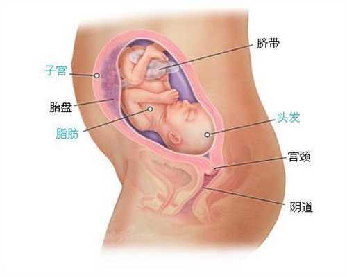 汽车尾气对于代孕的伤害不容忽视_上海世纪助孕