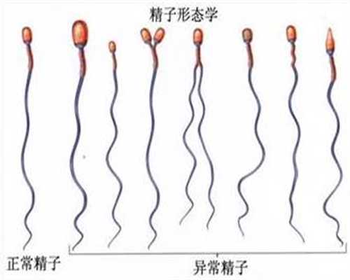 为什么代孕初期很难受_上海东方世纪学校工资