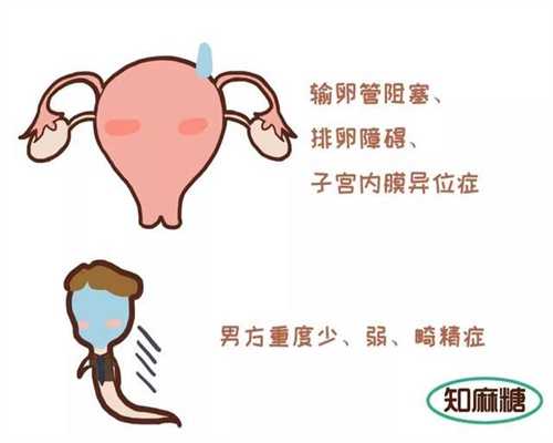 上海代怀孕价格_上海代孕协议_它来了宝安二手房
