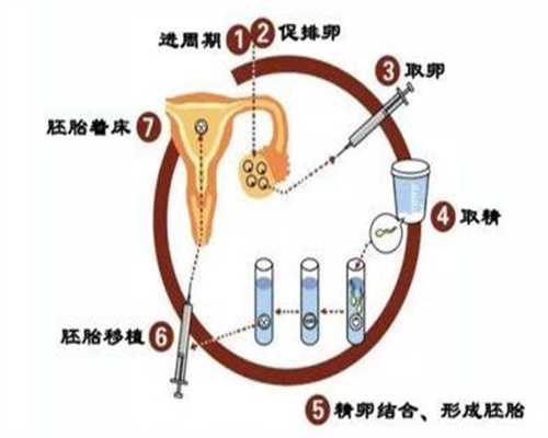 上海找代怀孕包成功_上海代孕产子网_为什么做了