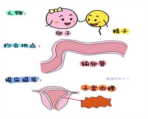 上海代孕价格低_上海最好的代孕_缓解牙痛的5个