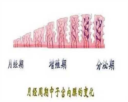 上海代孕成功率_上海世纪代孕代怀孕包成功_兰州