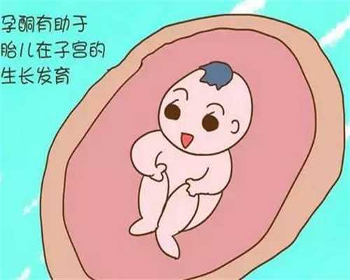 上海代孕公司代孕_上海国内代孕哪家好_上海代孕