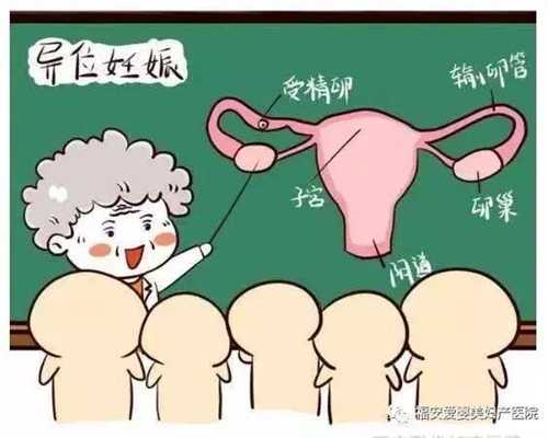 上海代孕中心官方网站_上海中国试管婴儿代孕中