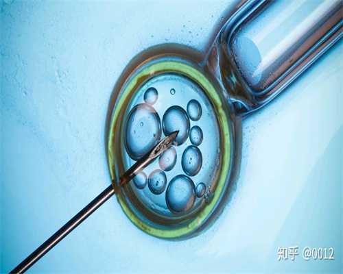 正规上海代怀孕公司_上海代怀孕试管助孕_做试管