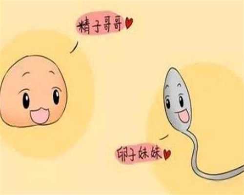上海代孕中心官方网站_上海代孕公司是什么_上海