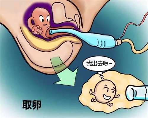 上海代怀孕联系电话_上海国内代孕哪家安全_上海