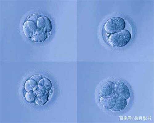 上海代孕机构那个靠谱_上海代怀孕包男孩_上海代