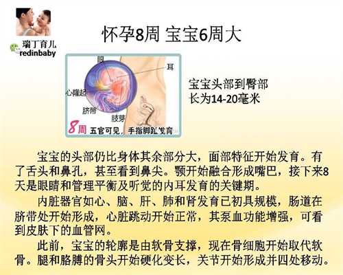 上海代孕中心官方网站_上海代怀孕服务_上海代孕