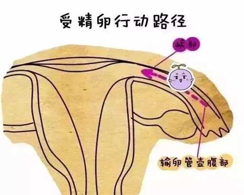 上海代孕中介公司_上海找代生孩子_上海代生男孩