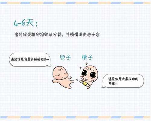 上海代生儿子包成功_上海代生宝宝在线咨询_上海