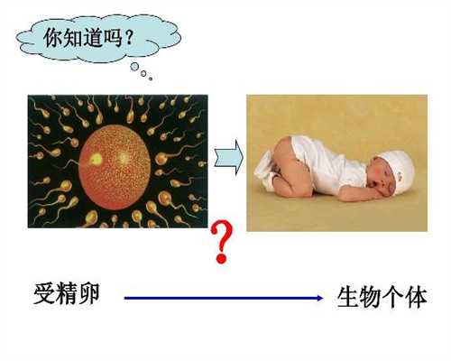 上海助孕中心_上海代生儿子成功率_上海代孕正规吗