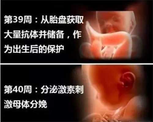 上海代怀孕价格_上海助孕费用_上海一线代孕