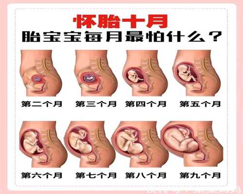 上海有代孕成功的姐妹吗_上海去找代孕多吗_南方国际生殖中心-二胎时代房子装