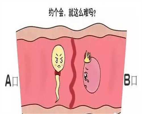 上海代生男孩在线咨询_上海代生双胞胎成功率_上海助孕网