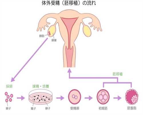 上海自己代孕的要好多钱啊_上海代孕多少钱一胎_上海哪里找代孕