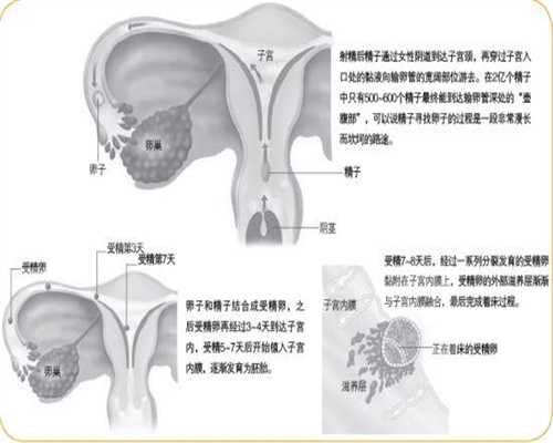 上海有没有找代孕妈妈的_上海现在代孕收费标准_上海个人代孕qq号