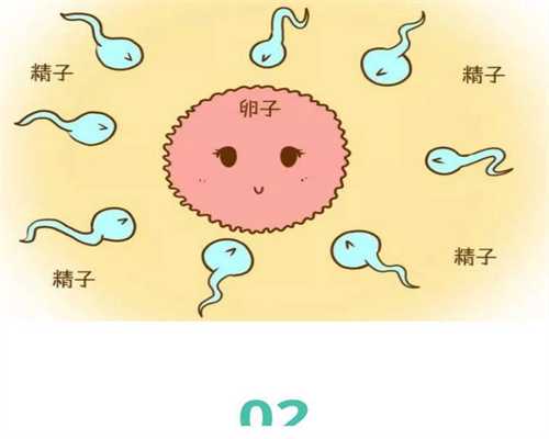 上海男的怎么代孕生子_上海代孕群qq号_上海全国有那些代孕机构