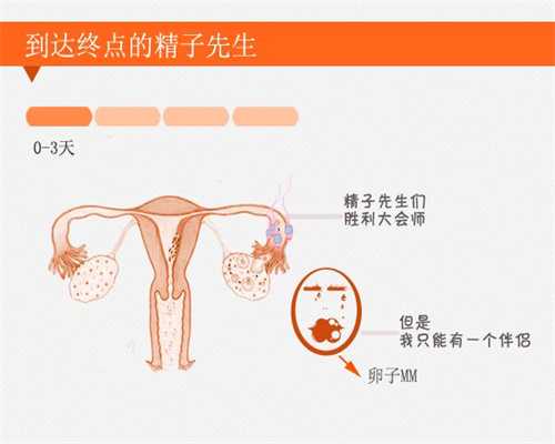 上海代孕价格介绍_上海代孕医院哪个便宜_上海如何寻找代孕妈妈