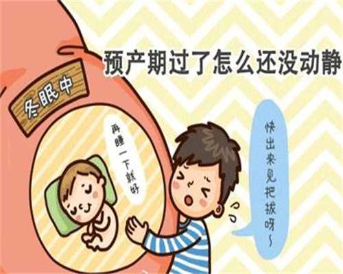 上海代孕成功率有多高_上海个人找代孕_圆梦助孕-试管婴儿前你要了解的试管婴