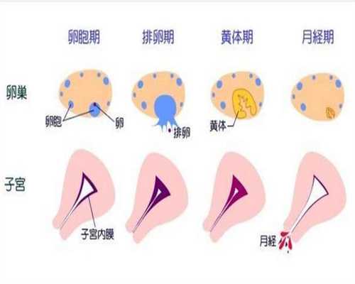 上海hiv代孕流程_上海代孕捐卵中心代表处_上海添一助孕官网-代孕最少要多少钱