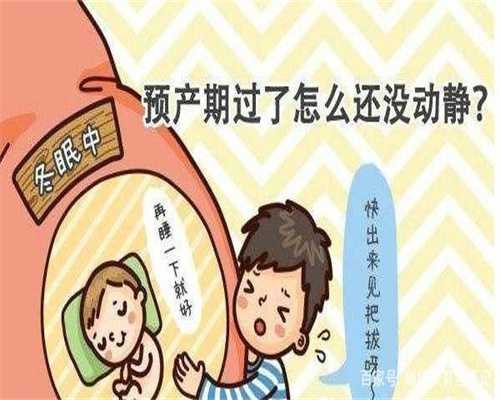 上海代孕最低多少钱代一个_上海可以找人代孕吗_代孕合法-如果晨吐不舒服怎么