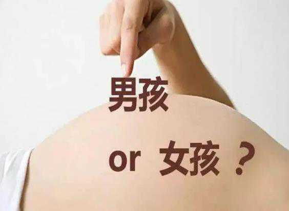 上海代怀孕的法律规定-上海试管代怀的咨询电话