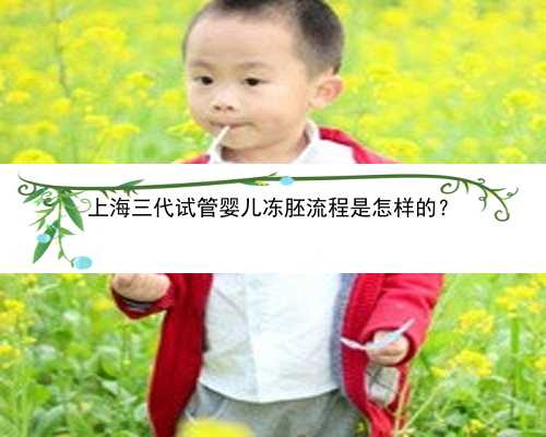 <b>上海三代试管婴儿冻胚流程是怎样的？</b>