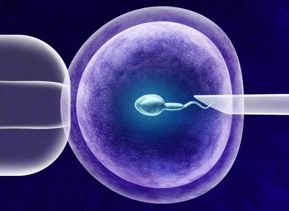卵巢早衰能怀孕吗_染色体异常和胎停|卵巢早衰在江门做三代试管婴儿多少钱，